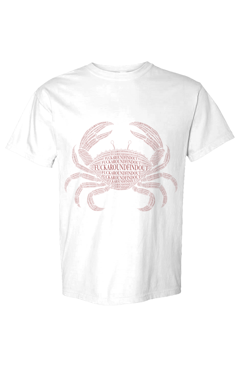 fuckaroundfindout tee