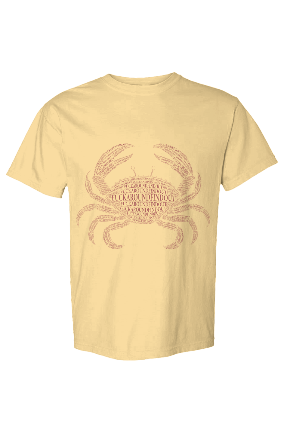 fuckaroundfindout tee