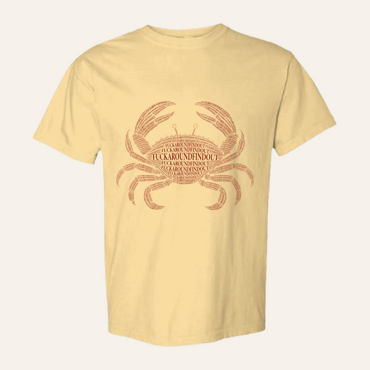 fuckaroundfindout tee